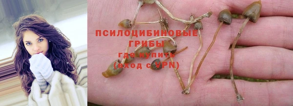 mdpv Нягань