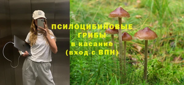 mdpv Нягань