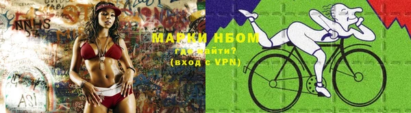 индика Ветлуга