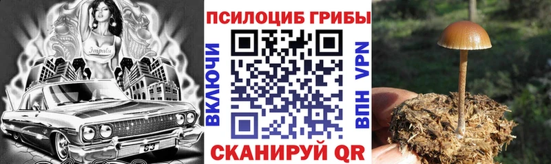кракен вход  Киржач  Галлюциногенные грибы Psilocybine cubensis 