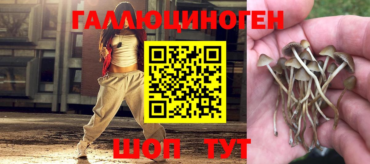 Галлюциногенные грибы мицелий Киржач
