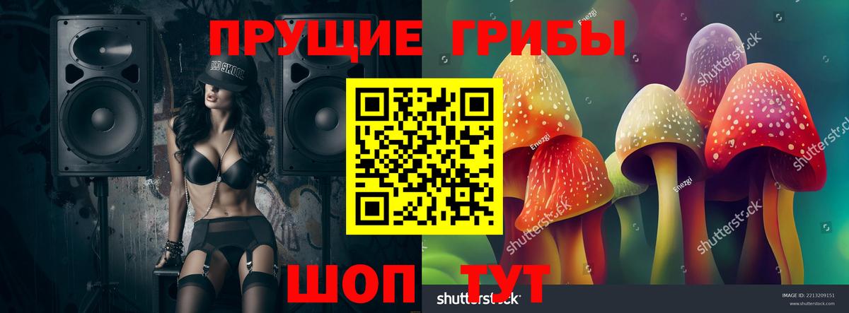 Псилоцибиновые грибы Psilocybine cubensis  Псилоцибиновые грибы Cubensis  купить наркотики цена  Вход с VPN  Киржач 
