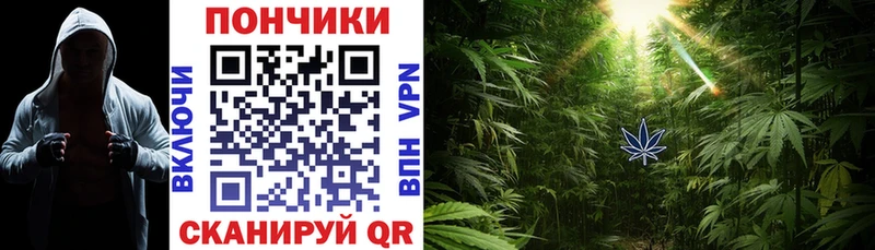 Марихуана планчик Киржач
