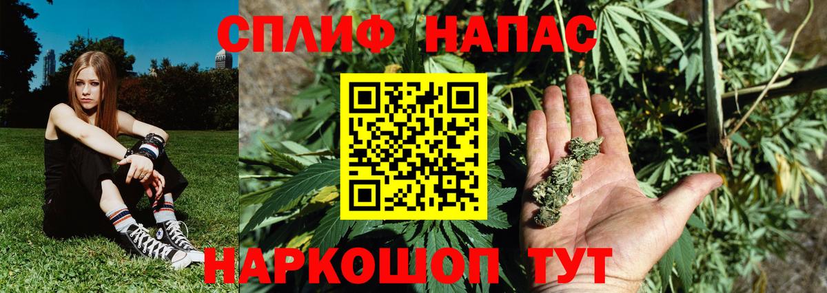 Канабис тримм  Вход с VPN  Бошки Шишки семена  Киржач  Бошки марихуана OG Kush  Марихуана Ganja 